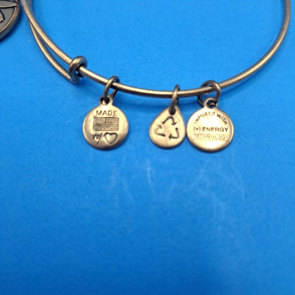 Alex And Ani "Cousin" Bronze tone Expandable Bangle Bracelet 2013 Jewelry - Picture 4 of 5